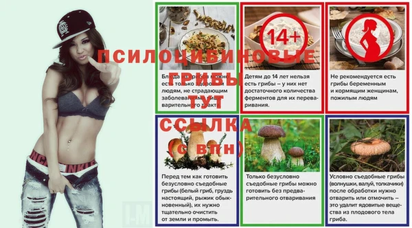 ПСИЛОЦИБИНОВЫЕ ГРИБЫ Сатка