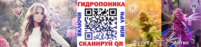Купить закладки  Руза  Бошки Шишки ГИДРОПОН 